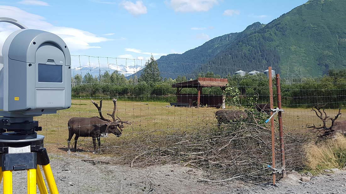 surveyor Scanning caribou exhibit